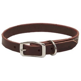 Dog Collar, Leather, 1 x 22-In.