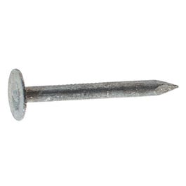 Fasn-Rite Galvanized Roofing Nails, Hot Dipped, 1.25-In., 50-Lbs.