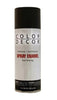 Color Decor Interior/Exterior Spray Paint (10 oz)