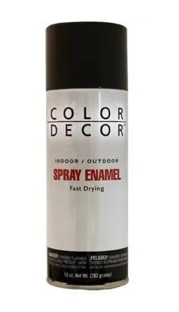 Color Decor Interior/Exterior Spray Paint (10 oz)