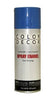 Color Decor Interior/Exterior Spray Paint (10 oz)