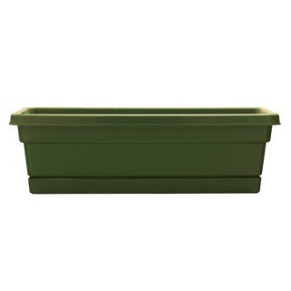 Southern Patio Dynamic Design 24″ Rolled Rim Window Box, Fern (24