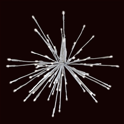 Holiday Bright Lights 16